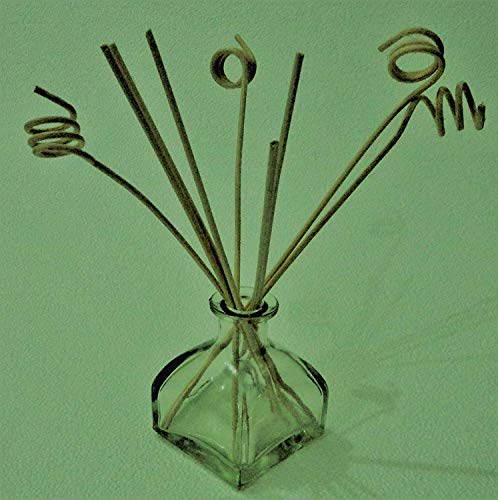 The Retailer House Glass Bottle with 8-Piece Reed Sticks, 100ml (Clear)