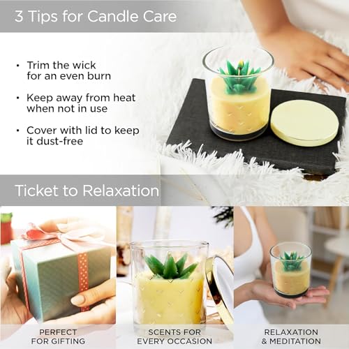 Urbane Home Scented Candles | Fragrance Candles | Candles for Wedding | Candles for Bedroom | Birthday Candles | Valentines Day Gifts Candles | DY-230709A | Transparent