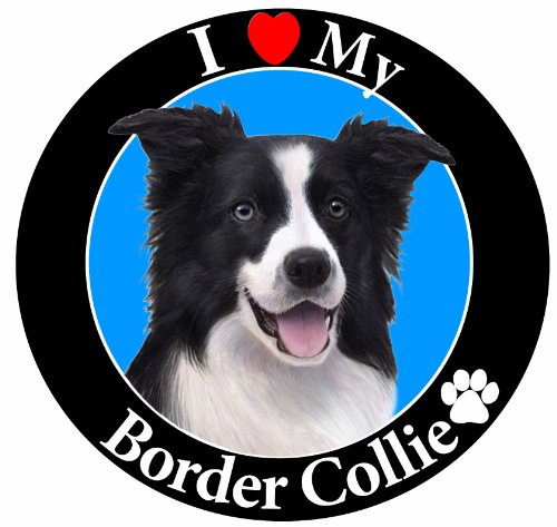 "I Love My Border Collie" Car Magnet With Realistic Looking Border Collie Photograph In The Center Covered In UV Gloss For Weather and Fading Protection Circle Shaped Magnet Measures 5.25 Inches Diameter