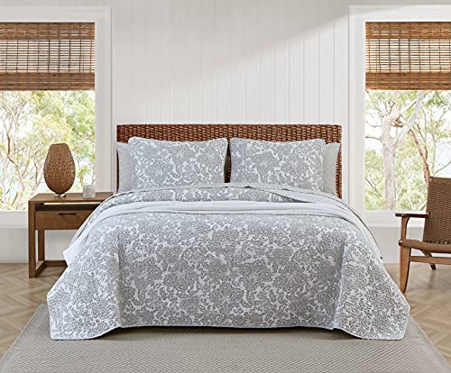 Tommy Bahama Island Memory Collection Quilt Set 100% Cotton, Reversible & Lightweight, Prewashed for Added Softness, King, Pelican Gray