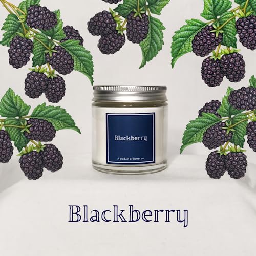 Better co Scented Soy Wax Amber Jar Candle Organic Luxury Aroma Burning Time Upto 20 Hours. Combo Pack of BlackBerry and Eucalyptus + Mint