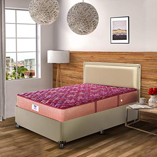 peps Springkoil Bonnell 8-inch Double Size Spring Mattress (Maroon, 75x66x08)