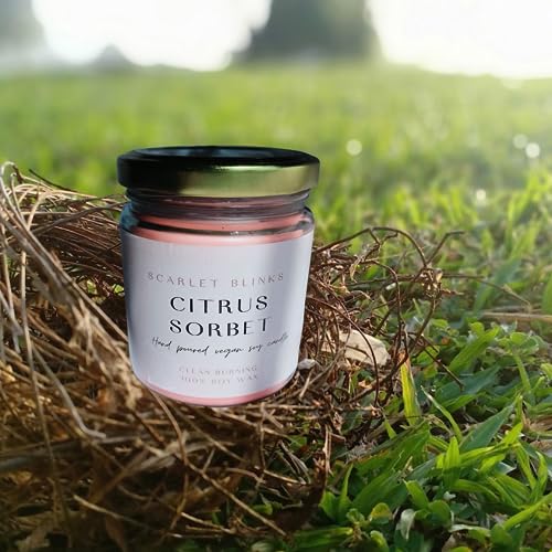 Scarlet Blinks Citrus Sorbet and Jasmine Elixir Candles | Soy Wax Candles | Aroma Therapy Candles | Burning Time :-45 HRS Pack of 2