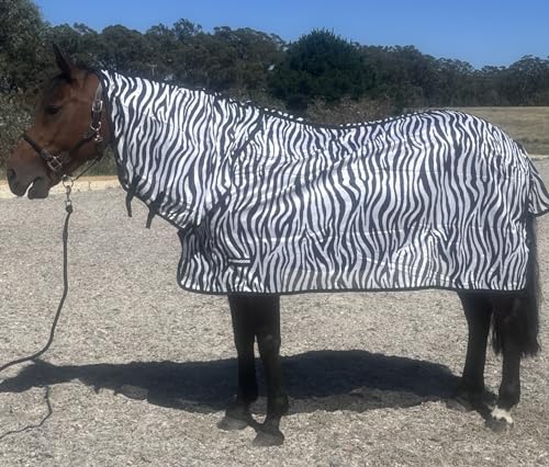 Summer Sheet Combo with Zabra Print Design, Zebra Printed Horse Blanket & sheet (ZEBRA PRINT SUMMER SHEET, 175 CMS)