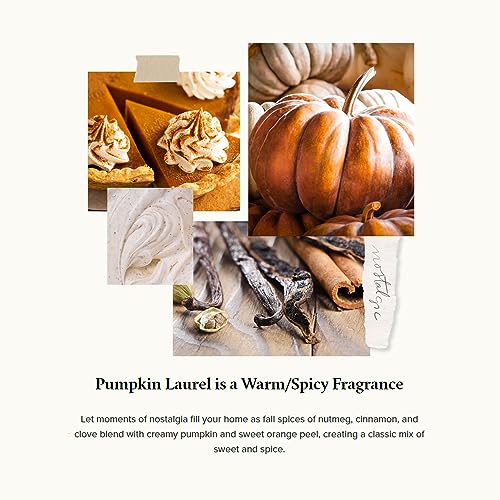 Thymes Pumpkin Laurel Statement Large Candle - Scented Candle with Notes of Nutmeg, Cinnamon, Clove, Pumpkin, and Orange Peel - Luxury Home Fragrance - Burnt Orange Pumpkin-Shaped Candle (15 oz)