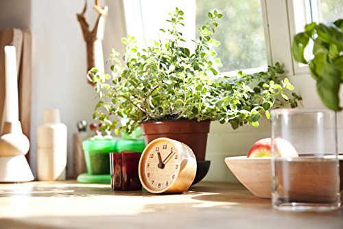 Lemnos MUKU Wooden Desktop Clock Beech