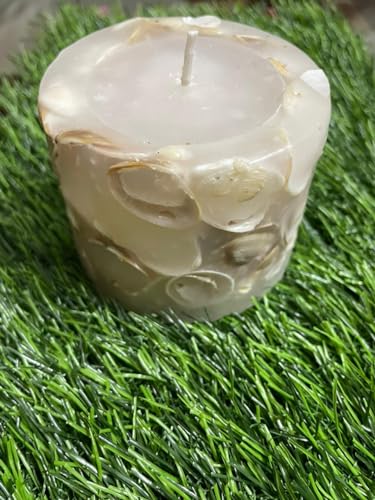 SOULSHRINE Natural Wax Shell Pillar Scented Candle, Tropical Fragrance - 211grams