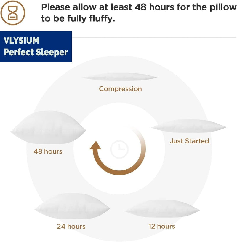 VLYSIUM Perfect Sleeper square pillow 20x20 Inches, Set of 1, Arrya Microfiber Hotel Quality Premium Fibre Soft Cushion Filler, White