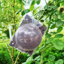 Rooting Balls  Pack of 5 with Pot Mix Combo