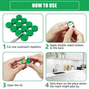 Cockroach Killer Gel (Pack of 2)