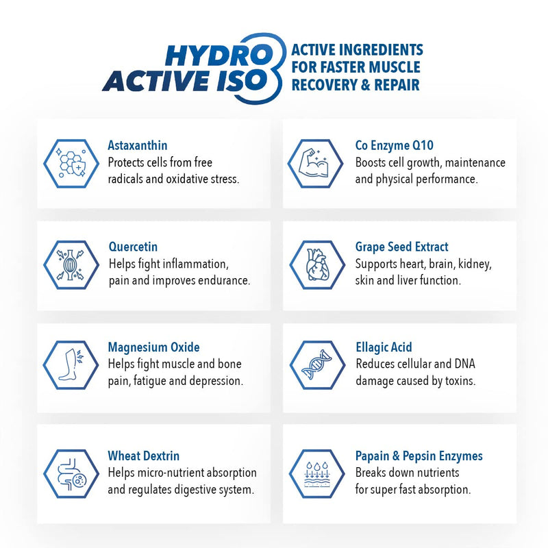 BUILD. Prowl Elite Series Hydro Active ISO 8 -Delicious Chocolate (1kg) | Informed Sport Certified | Optimize Hydration and Performance