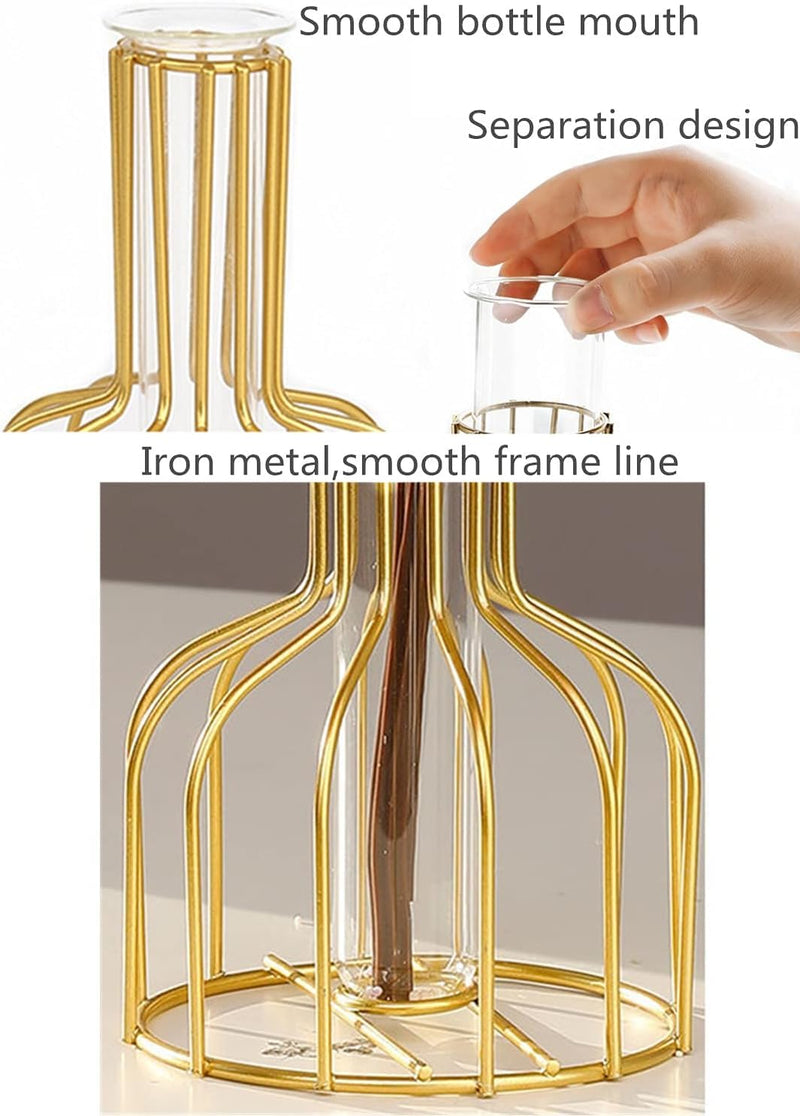 TIED RIBBONS Metal Frame Test Tube Glass Planter Vase Set of 2 for Flowers Plants Home Decor Living Room Bedroom Hall Kitchen Office Table Top Desk Centerpiece Decoration Gifting Items