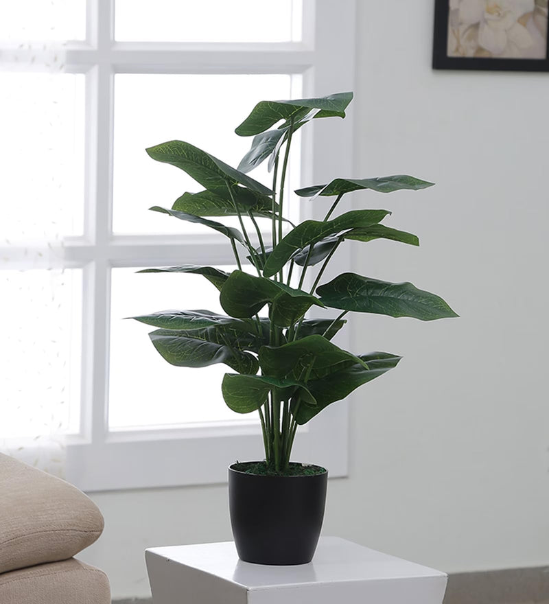 ARICK Decor Beautiful Artificial Miniature PVC Silk Floor Plant with Big Leaves and with Pot (18 Leaves, 65 cm Tall, Green)