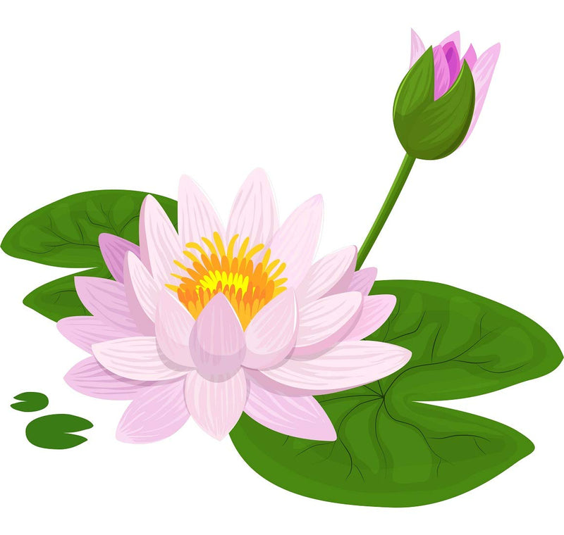 Tuffuk Lotus Large Vinyl Wallstickers for Home Decorations(50 cm x 40 cm)4TZ060