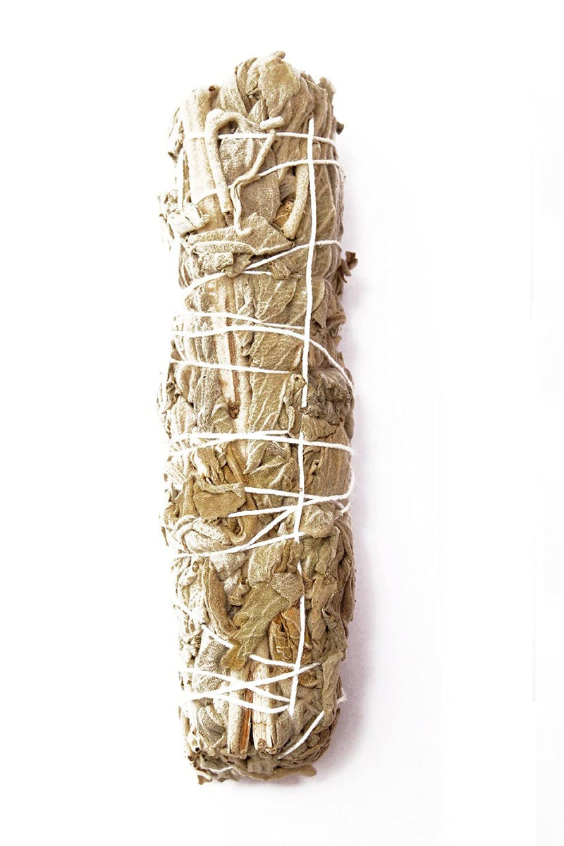 ESSENCIO Shop Pure Natural White Sage 4 Bundles Smudging Sticks (6-7 Inches) - Each Piece of 27-33 Grams Removes Negativity, PURIFY Aura