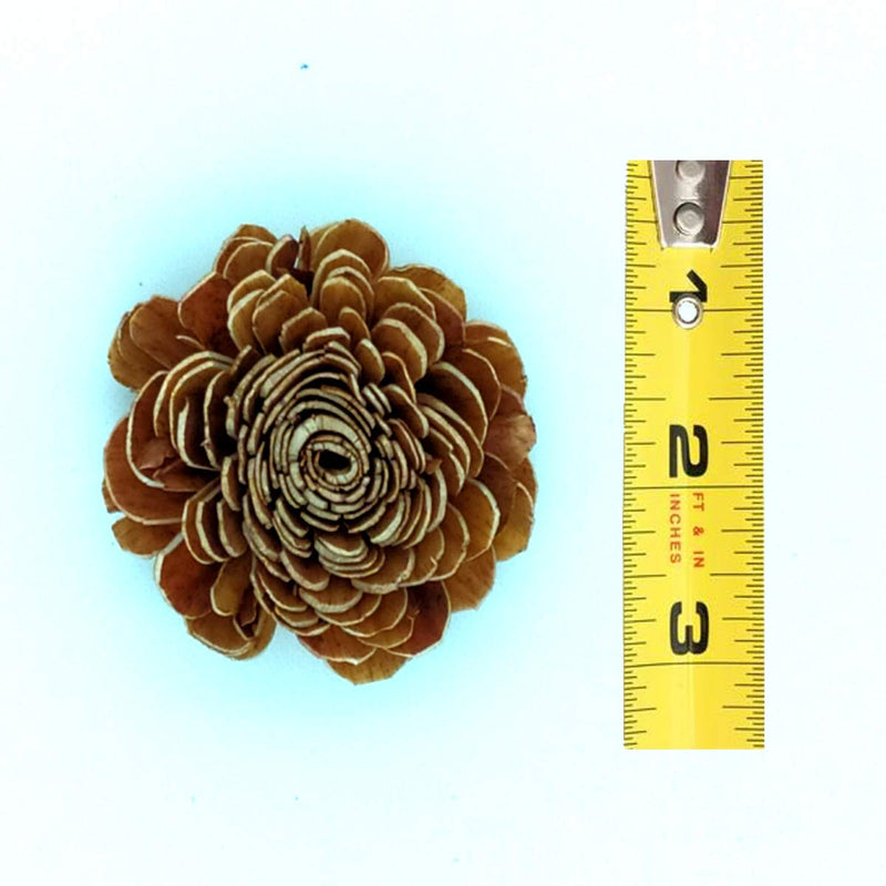 CRAFTWAFT Handmade Natural Brown Daliha Flower for Craft & Decorations 2.5 Inch Diameter Dry Flower (100)