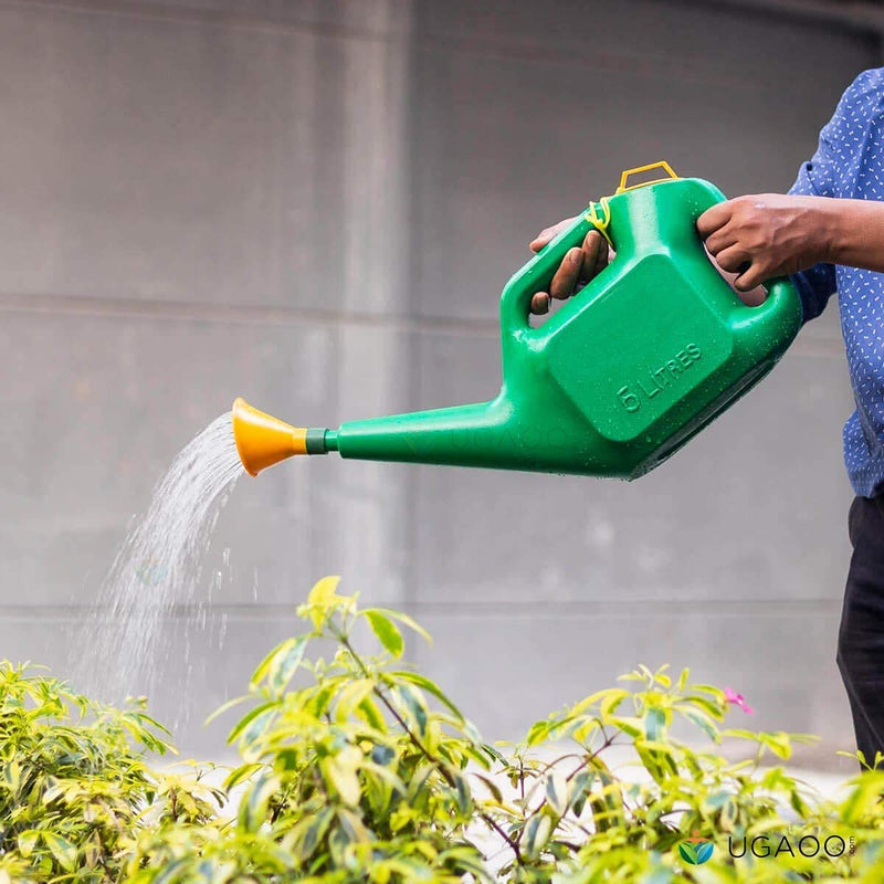 Bianco Premium Plastic Watering Can for Plants (Green) (5 litres)