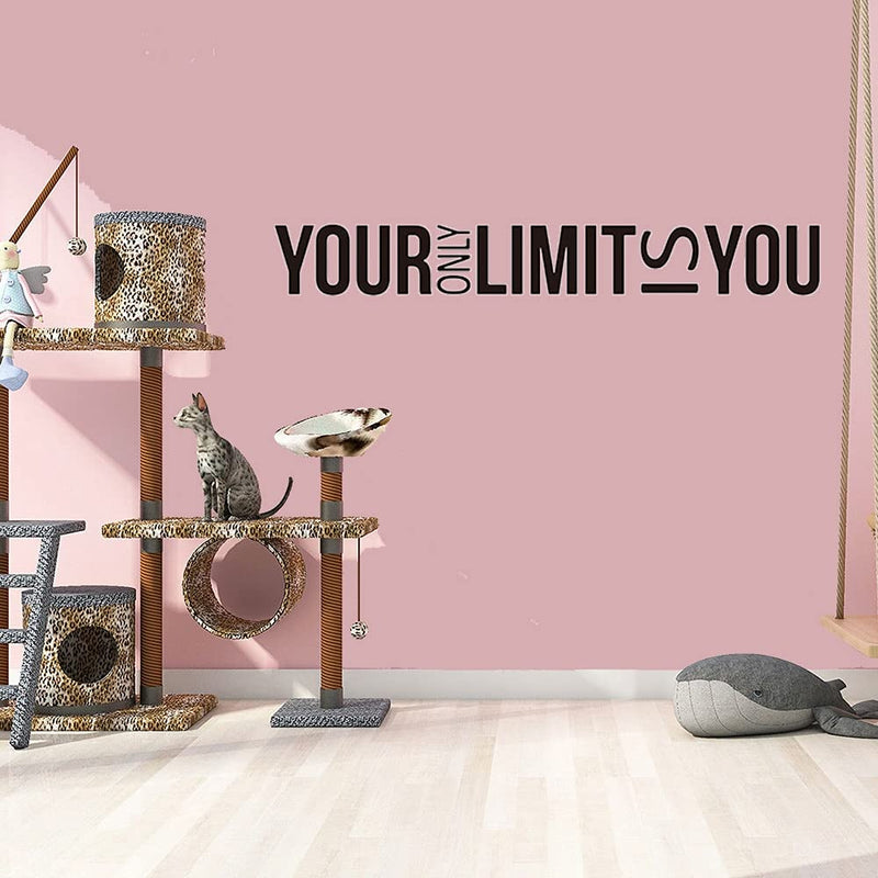 GADGETS WRAP Vinyl Decal Sticker Your Only Limit is You (Item Finish Size : 56cm x 8cm)