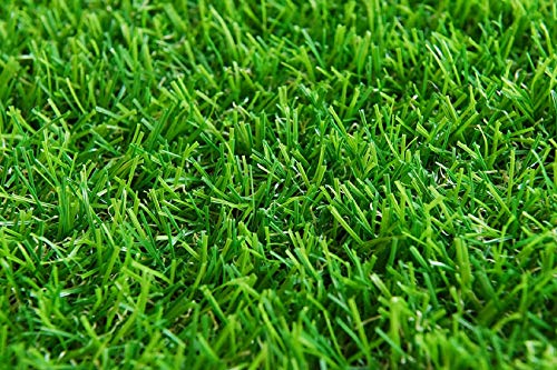 Heart Home 45 mm Soft and Durable Plastic Turf Carpet Mat, Artificial Grass (16" X 24") Green-HEART11762, Standard (HEART011762)