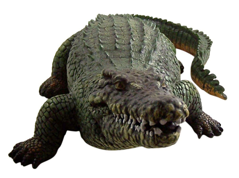 Wowser Realistic Painted Cast Resin Alligator Statue, 20 1/2 Inch