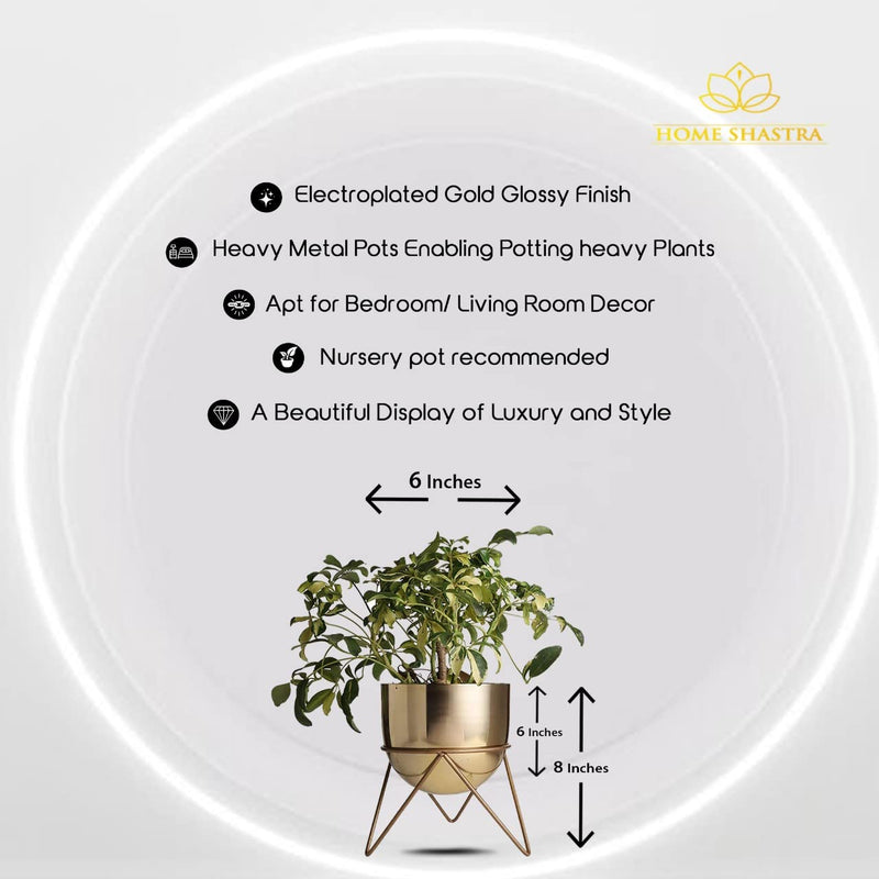 HomeShastra® Premium Gold Pot Metal Planters with Stand | Pack of 2 | 8 Inch (Height) by 6 inch (Dia) | Planter for Living Room and Bedroom Interior Design | Best Decor Gift