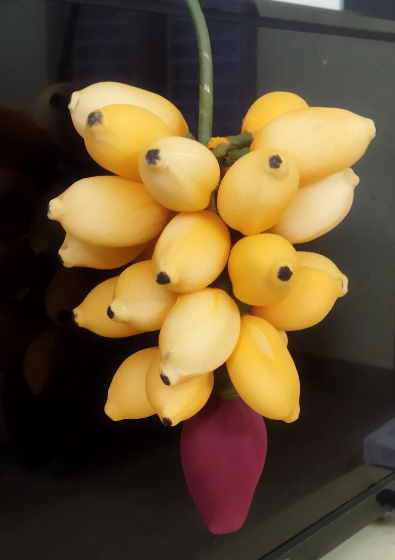 ZENRISE® Banana Decoration Hanging Handicraft for Home Temple puja Festivals Ganesh Chaturthi Navaratri Dusshera, 2 Banana Bunches, Yellow