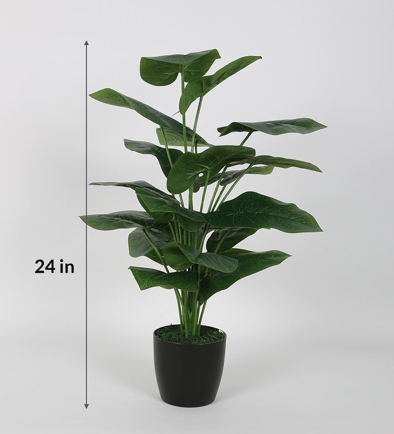 ARICK Decor Beautiful Artificial Miniature PVC Silk Floor Plant with Big Leaves and with Pot (18 Leaves, 65 cm Tall, Green)