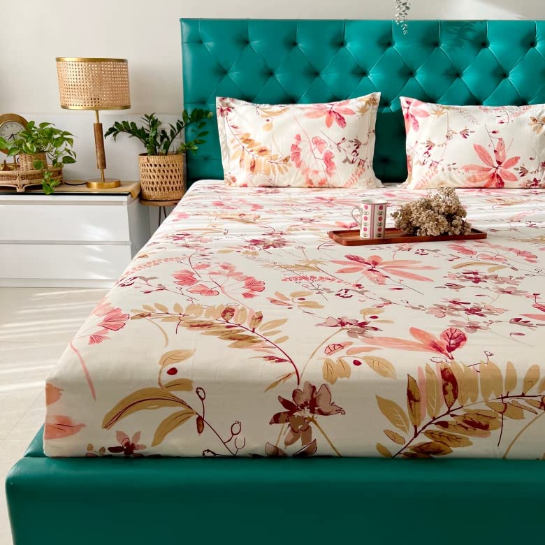 Urban Space Serene 200 TC 100% Cotton Elastic Fitted Bedsheet King Size, Fitted bedsheets King Size 78 x 72 with 2 Pillow Covers (Size 72 x 78 inches, Floral Feast Peach)