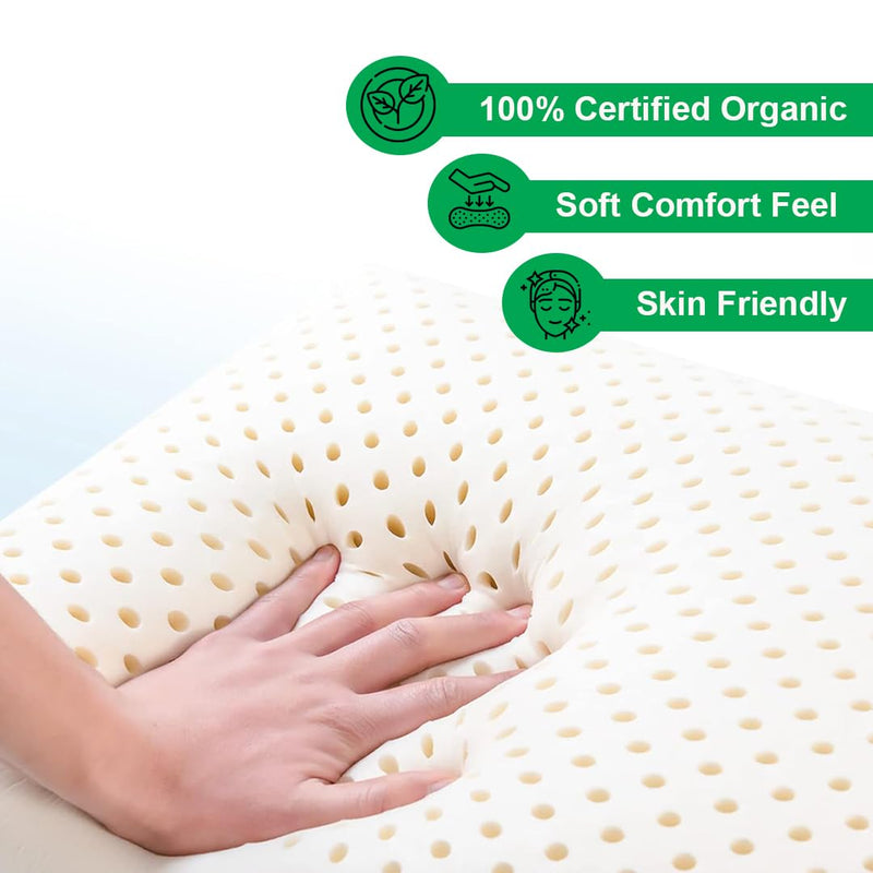 DREAMZEE Vilasa™ 6" Certified 100% Natural Latex Mattress with 2pcs Latex Pillows | Queen Size Monozone Latex Mattress Medium Comfort 78x60 Inches