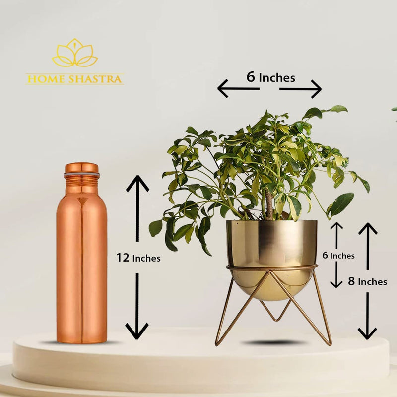 HomeShastra® Premium Gold Pot Metal Planters with Stand | Pack of 2 | 8 Inch (Height) by 6 inch (Dia) | Planter for Living Room and Bedroom Interior Design | Best Decor Gift