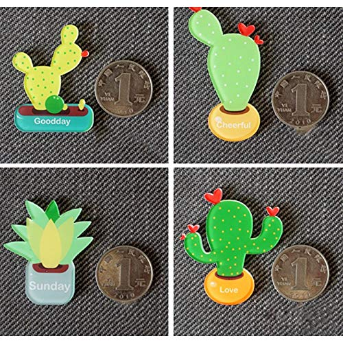 BIG BOOM® Cactus Magnets Refrigerator Magnet Fridge Magnet Cactus Kitchen Magnets Fun J7F3