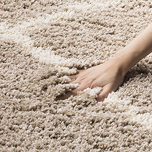 GLOY Modern Fluffy Fur Rug Anti Slip Ultra Soft Shaggy Carpet for Living Room, Bedroom, Guest Room (1.5x3 Feet, Beige Box)