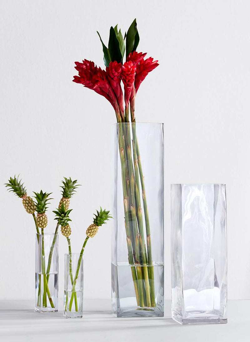 DECENT GLASS Glass Tall Square Vase (10 Inch, Clear)