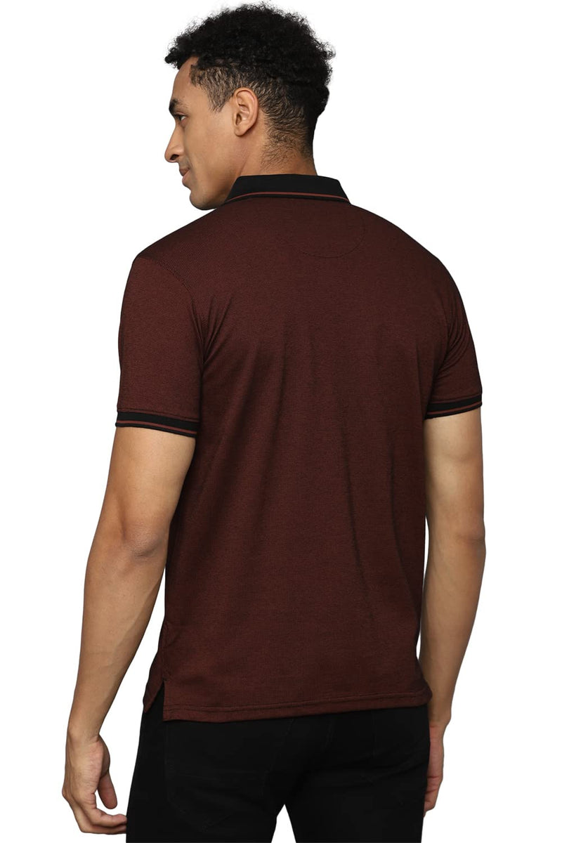 Allen Solly Men's Solid Regular Fit Polo Shirt (ASKPNRGFL33551_Brown