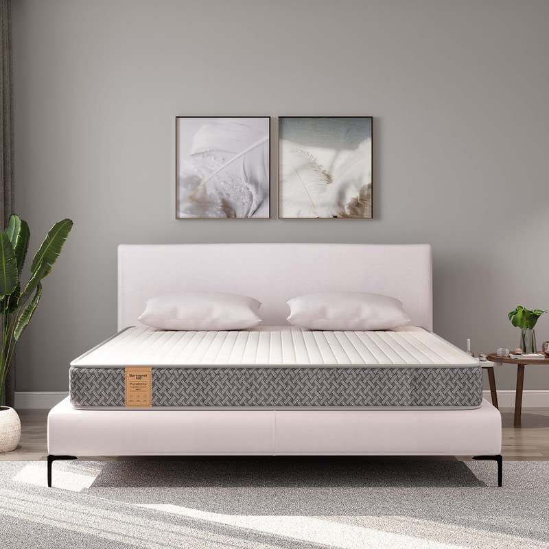 Springwel easy PureOrtho CleanTech Pro 6 inch Twin size Mattress (Size- 84x48x6 inches)