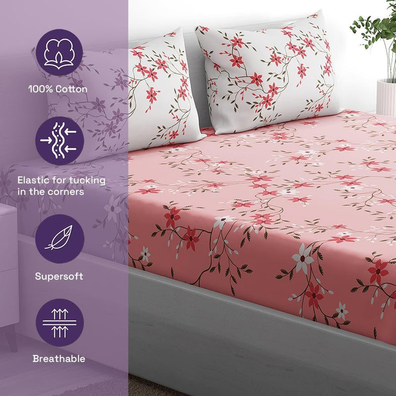 100% Cotton 152 TC Fitted Bedsheet with 2 Pillow Covers | Sakura King, 78" x 72", Sakura| 1.98m x 1.83m