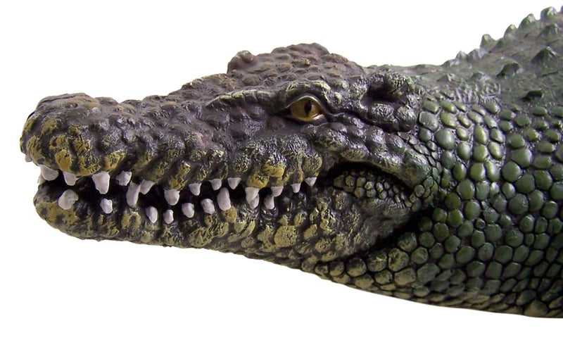 Wowser Realistic Painted Cast Resin Alligator Statue, 20 1/2 Inch