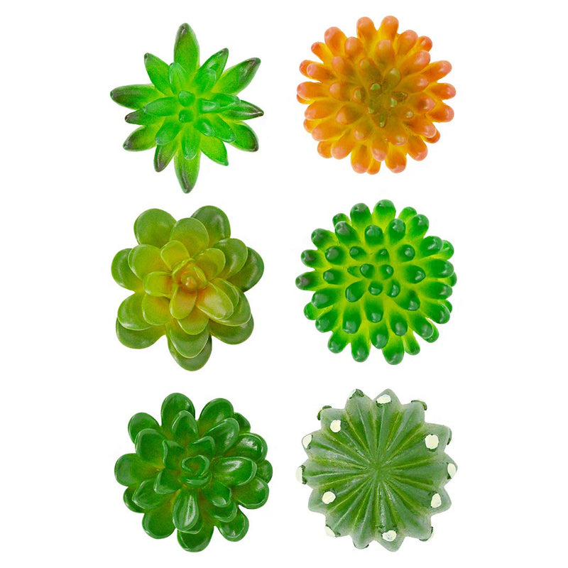 Segreto Creative Refrigerator Magnet Simulated Succulent Plant Resin Fridge Magnet for House Office Kitchen Whiteboard,6 pcs