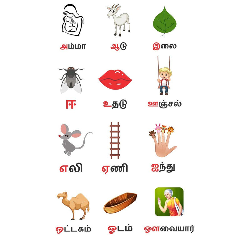 Tuffuk Tamil(தமிழ்) Alphabets Large Vinyl Wallstickers for Home Decorations(60 cm x 100 cm)5TZ037