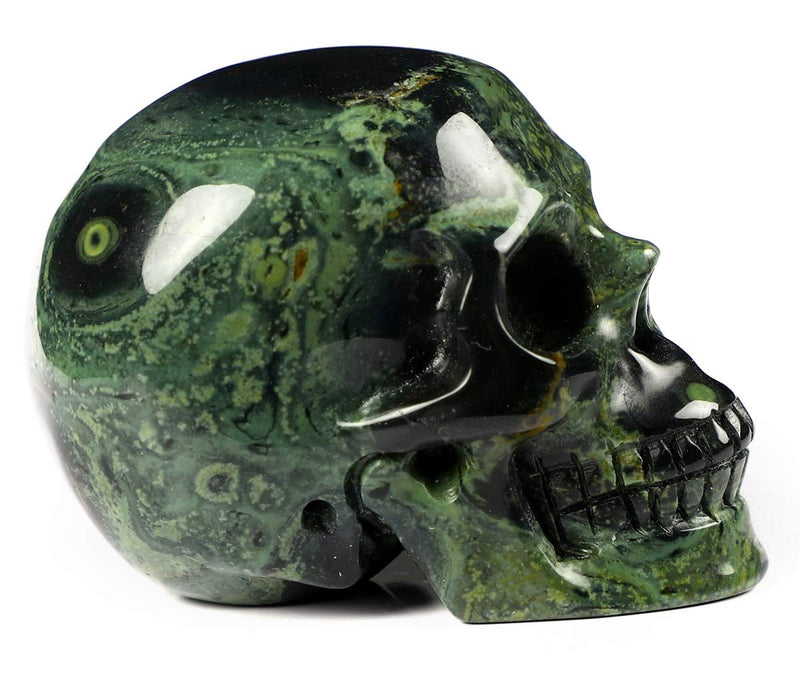 Skullis 2.0" Kambaba Crystal Skull, Hand Carved Gemstone Fine Art Sculpture, Reiki Healing Stone Statue.1