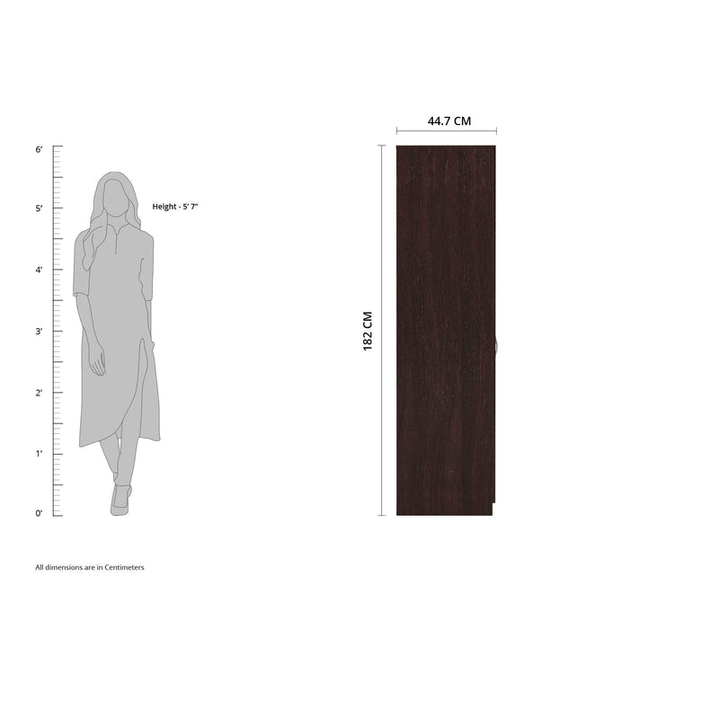 Amazon Brand - Solimo Medusa Engineered Wood 2 Door Wardrobe with Full Mirror (Wenge Finish)