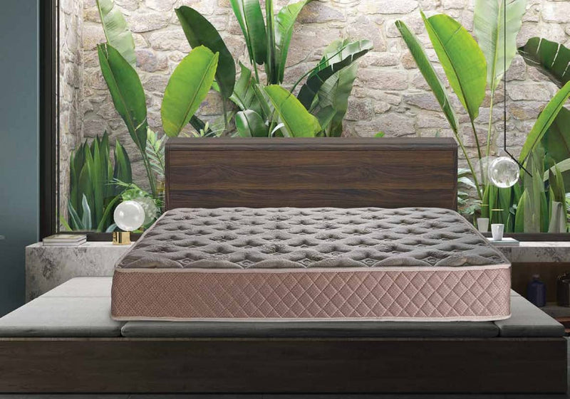 RELAXWELL MATRESSES Vitasleep - Ortho Coir Mattress with Two Free Pillow for Your Comfort Night (78x60x8 Inches, Queen)