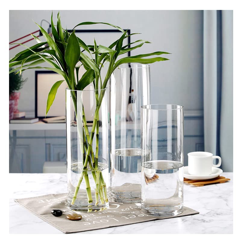 BS AMOR Clear Glass Cylinder Vase (H:10" D:3") | Glass Flower Vase Centerpieces | Hurricane Floating Candle Holder Vase 10" Height