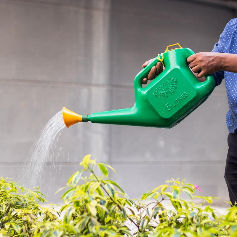 MyOwnGarden Watering Can Head for Hose End, Watering Can, Cooldrinks Bottle - Water Sprinkler for Plants Gardening