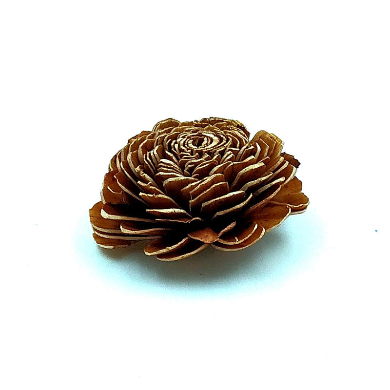 CRAFTWAFT Handmade Natural Brown Daliha Flower for Craft & Decorations 2.5 Inch Diameter Dry Flower (100)