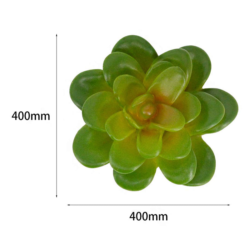 Segreto Creative Refrigerator Magnet Simulated Succulent Plant Resin Fridge Magnet for House Office Kitchen Whiteboard,6 pcs