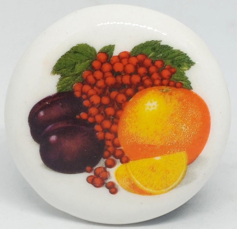 Temple Trees Fruits Assorted - Set of 5 Fridge Magnets