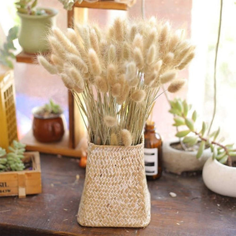 Arte Casa Imported Bunny Tails Brown - Naturally Dried Stems, Perfect for Rustic Home Decor (Set of 30) (Pack of 1)