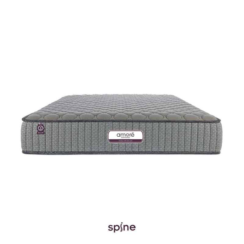 Amore Spine Memory Foam King High Resilience (HR),Rebonded Foam Orthopedic Mattress72x48x6