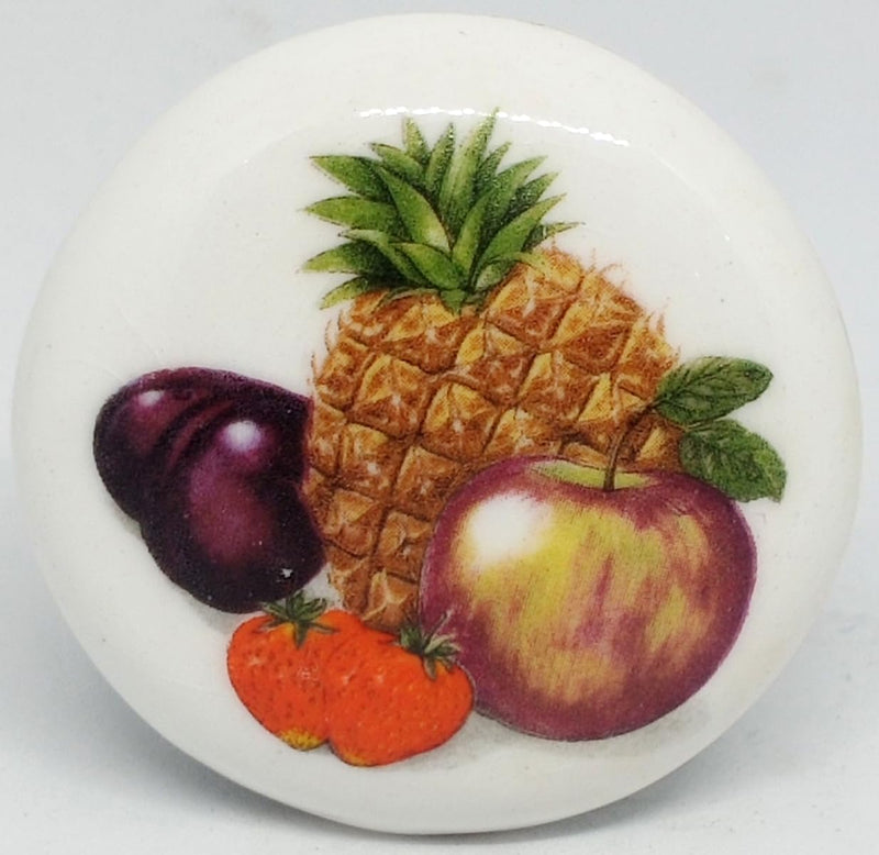 Temple Trees Fruits Assorted - Set of 5 Fridge Magnets